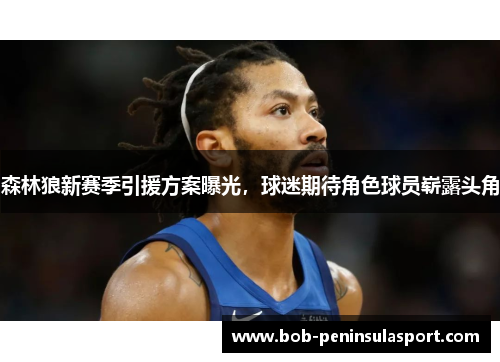 森林狼新赛季引援方案曝光，球迷期待角色球员崭露头角