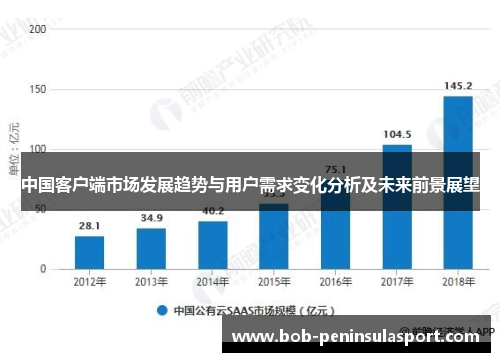 中国客户端市场发展趋势与用户需求变化分析及未来前景展望